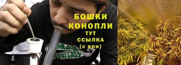 ГАЛЛЮЦИНОГЕННЫЕ ГРИБЫ Алексин