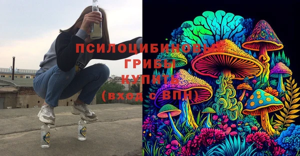 индика Аркадак